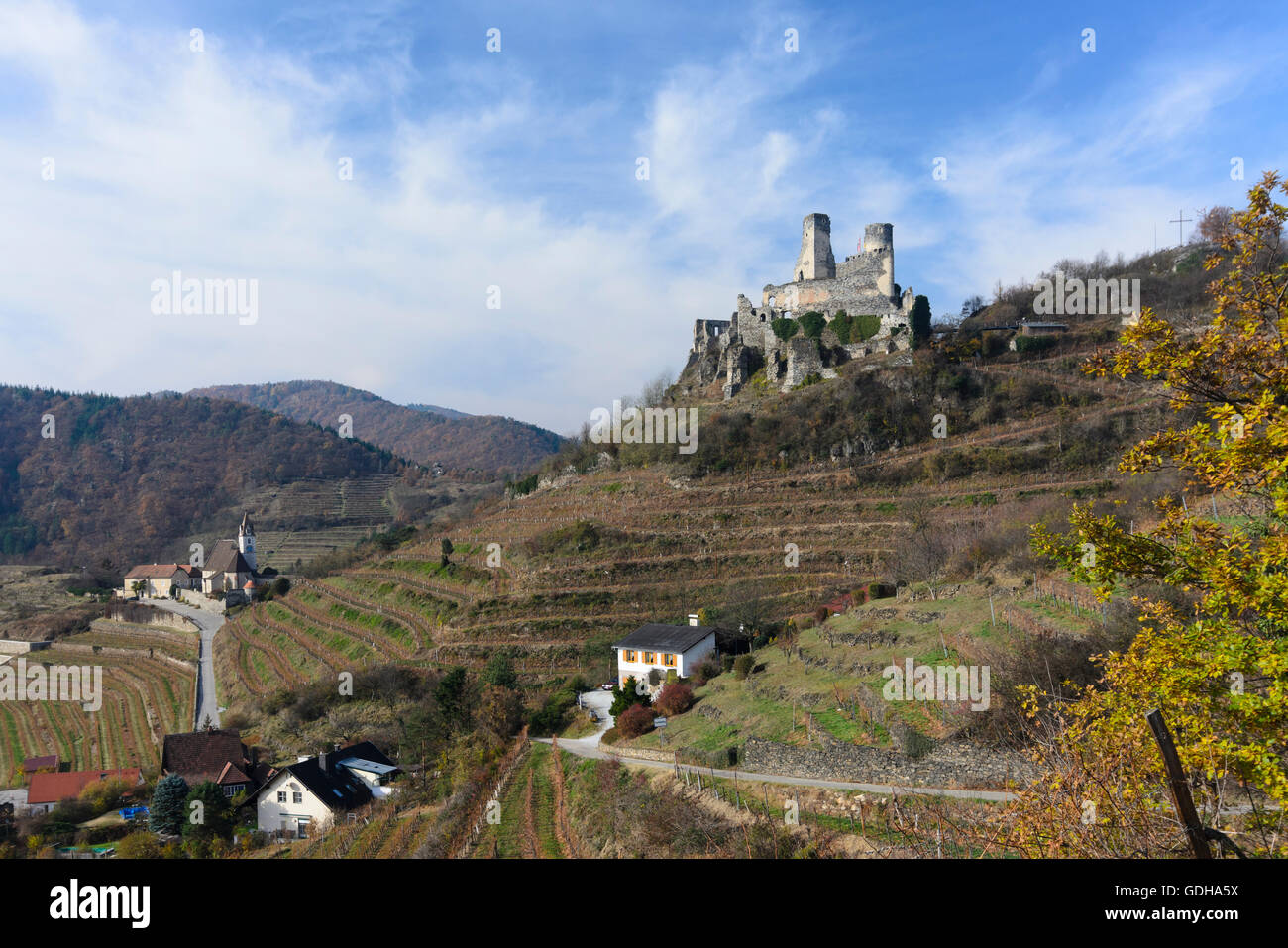 Senftenberg: Church and castle ruins of Senftenberg,  vineyard, Austria, Niederösterreich, Lower Austria, Waldviertel Stock Photo