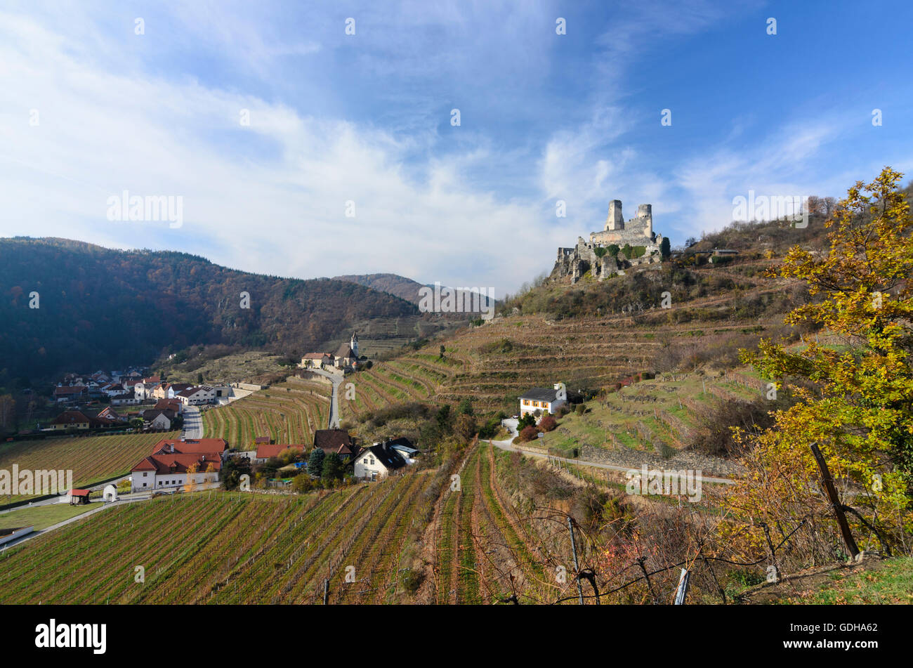 Senftenberg: Church and castle ruins of Senftenberg,  vineyard, Austria, Niederösterreich, Lower Austria, Waldviertel Stock Photo