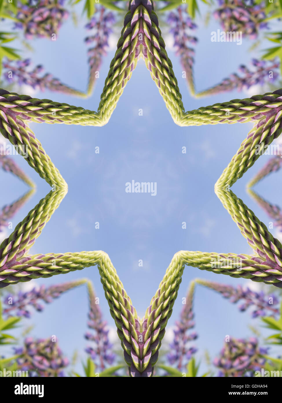 Kaleidoscope flowers hi-res stock photography and images - Alamy