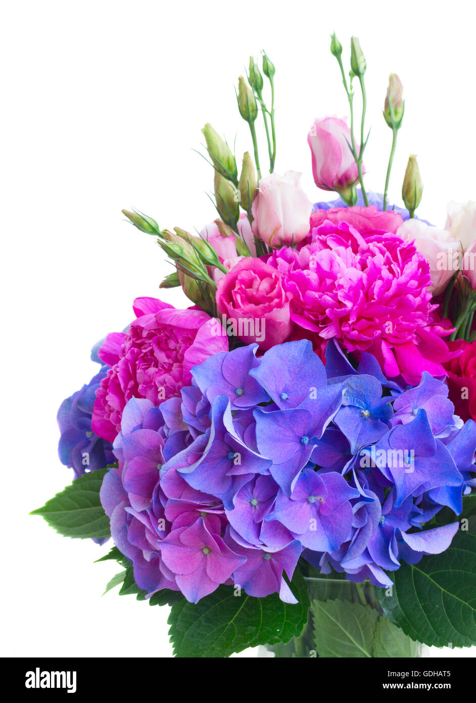 Bright pink and blue flowers Stock Photo Alamy