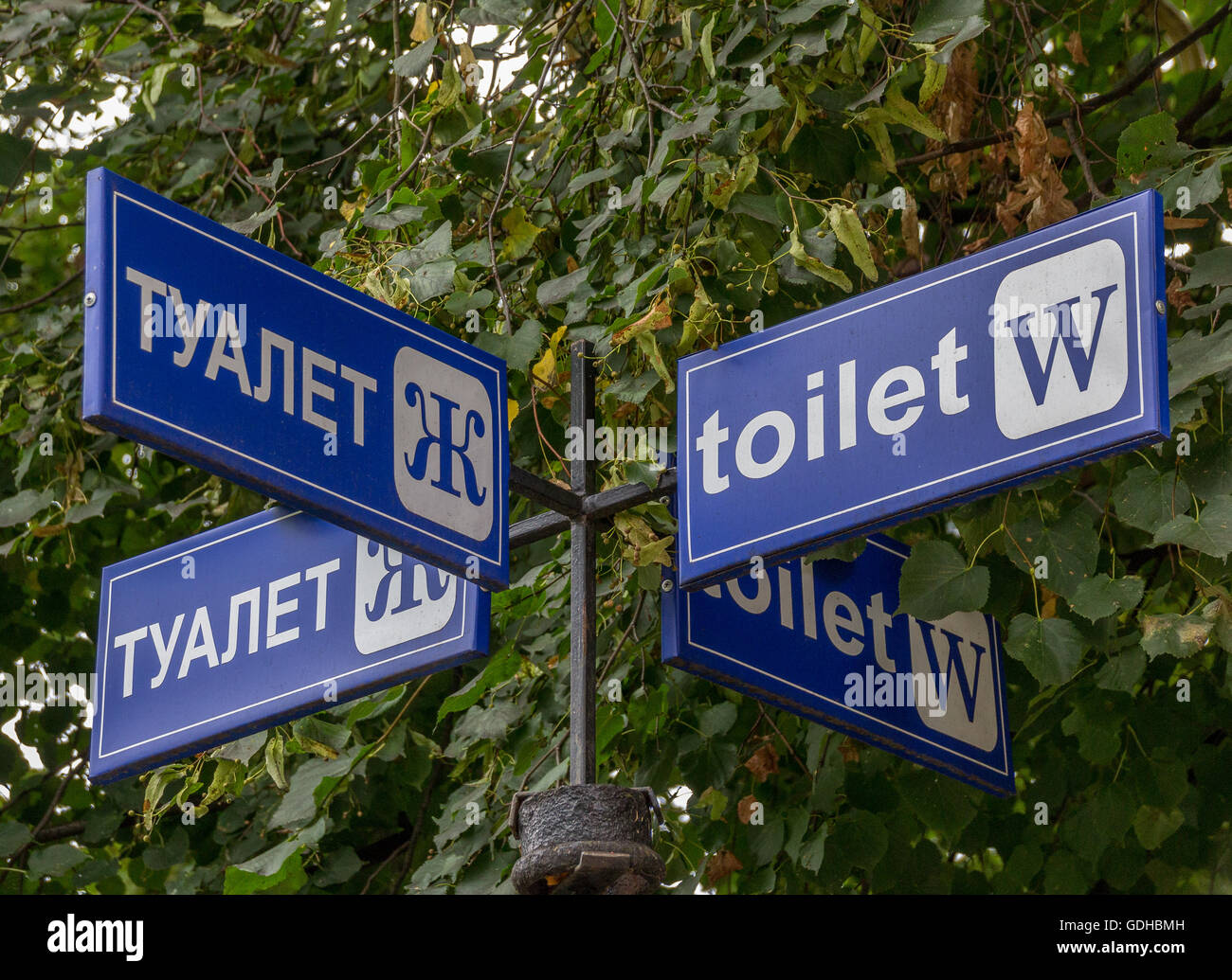 Blue sign in russian and english for women toilet Stock Photo