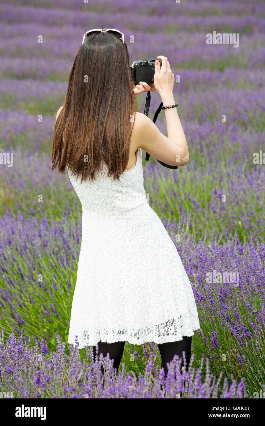 Visitors enjoy the lavender on an Open Day at Lordington Lavender Farm, Lordington, Chichester, West Sussex UK in July - young woman taking a photo Stock Photo