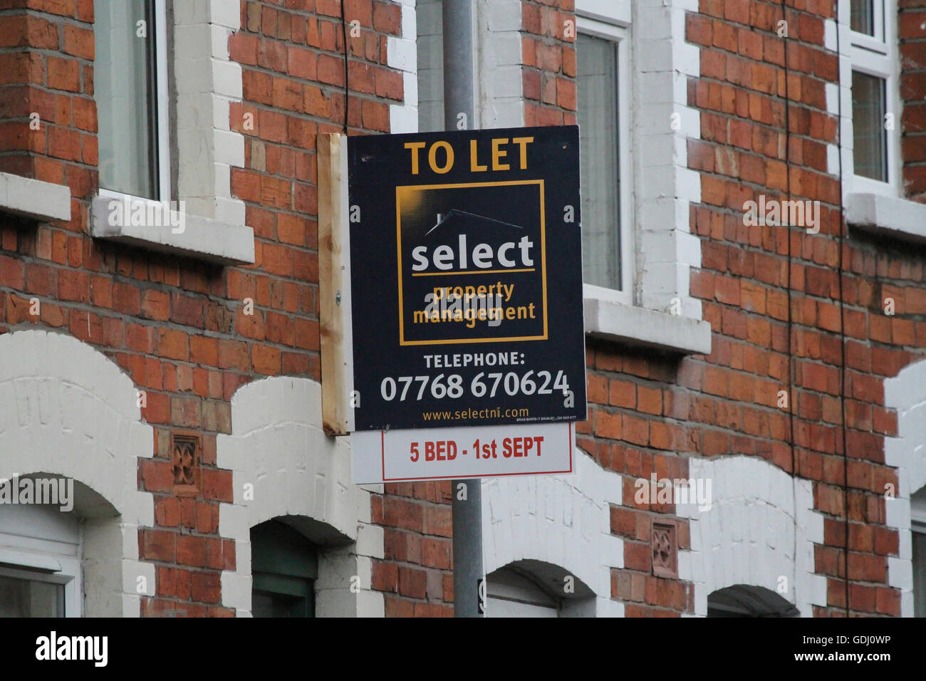 An estate agent's "To Let" sign in Belfast Stock Photo Alamy