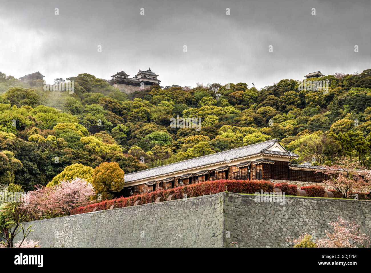Japan, Iyo Matsuyama castle. Ishigaki stone walls and Tamon yagura of Ninomaru, at base of mountain, castle above, very low storm type clouds. Stock Photo