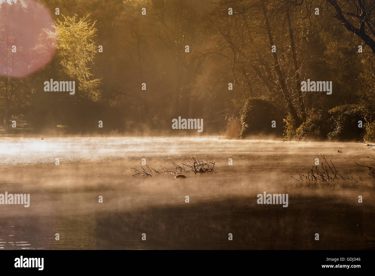 Shearwater - Lake Stock Photo