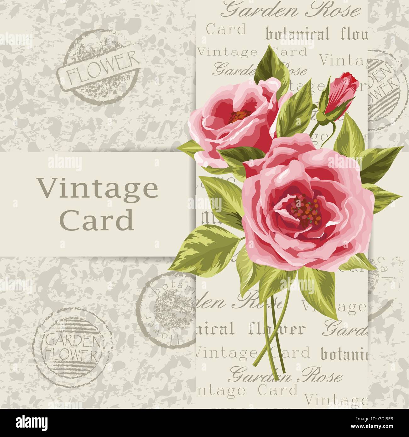 Vintage card flowers Stock Vector Images - Alamy