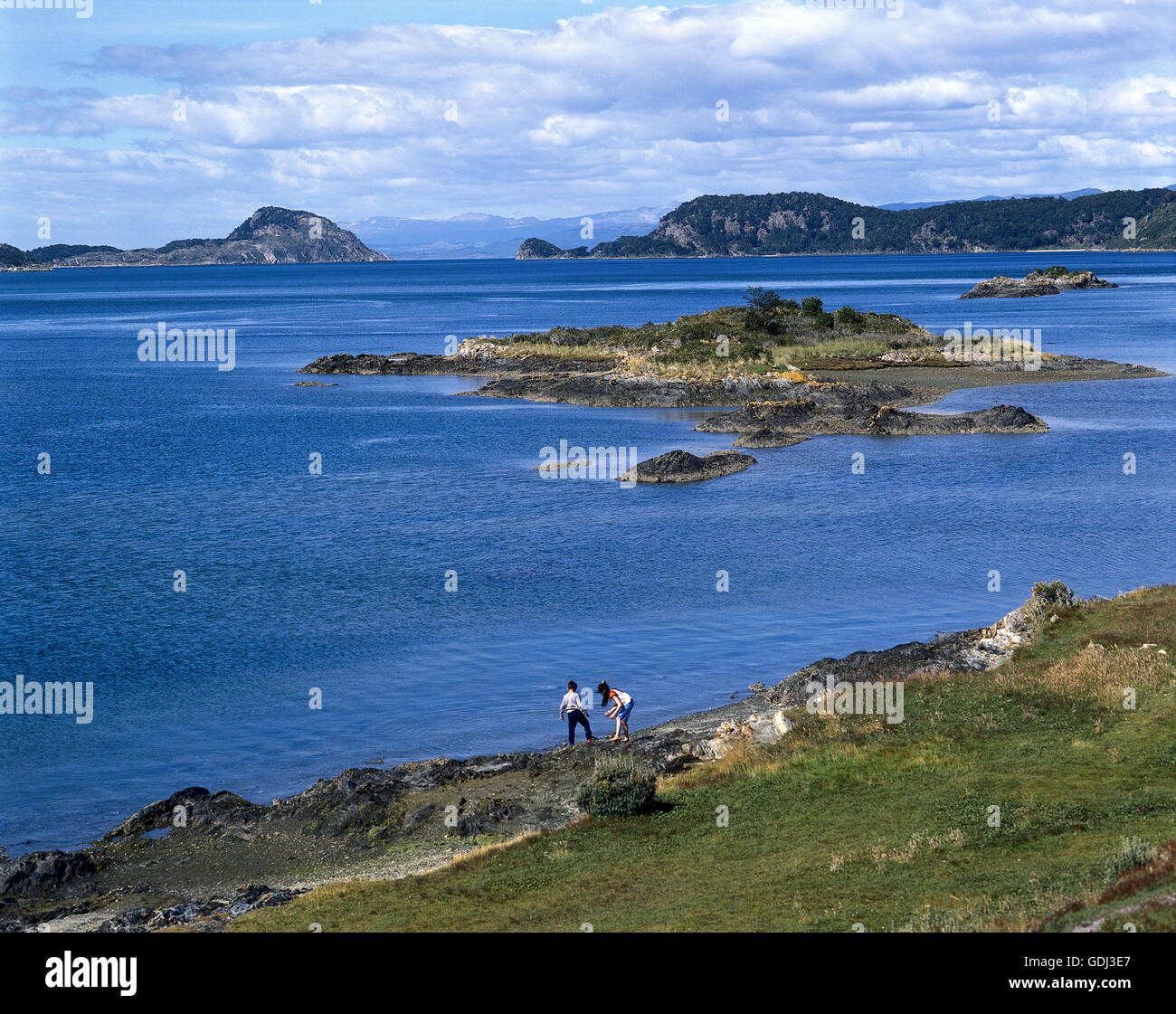 geography / travel, Argentina, Tierra del Fuego, with grass vegetated seafront, Tierra Fugeo National Park, Stock Photo