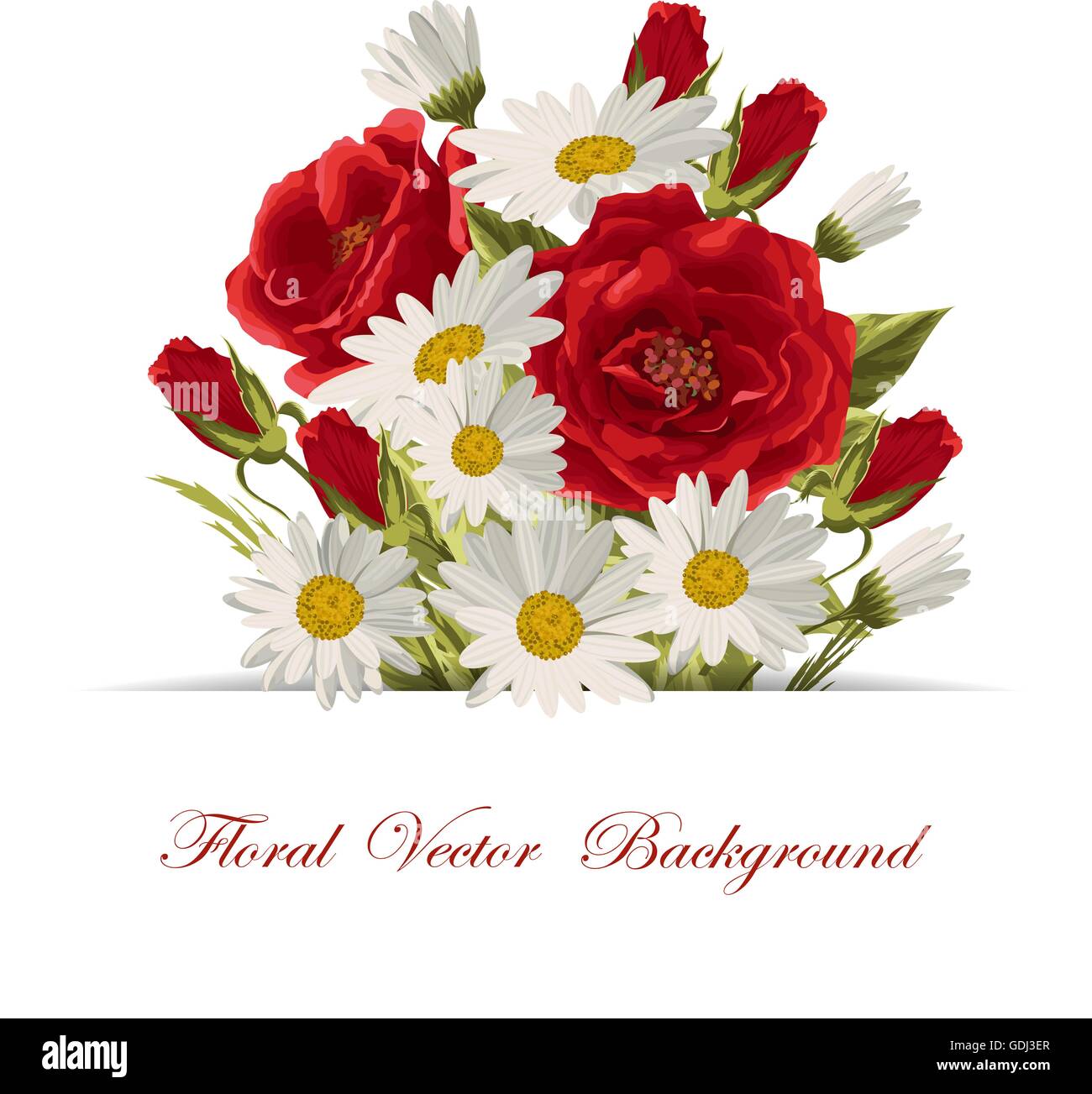 Beautiful white daisies and red roses Stock Vector Image & Art Alamy