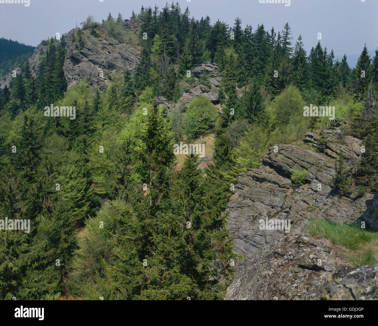geography / travel, Germany, Bavaria, landscape / landscapes, Kaitersberg, Hoher Stein, Steinbühler Gesenke, Natural Preserve Upper Bavarian Forest, Stock Photo