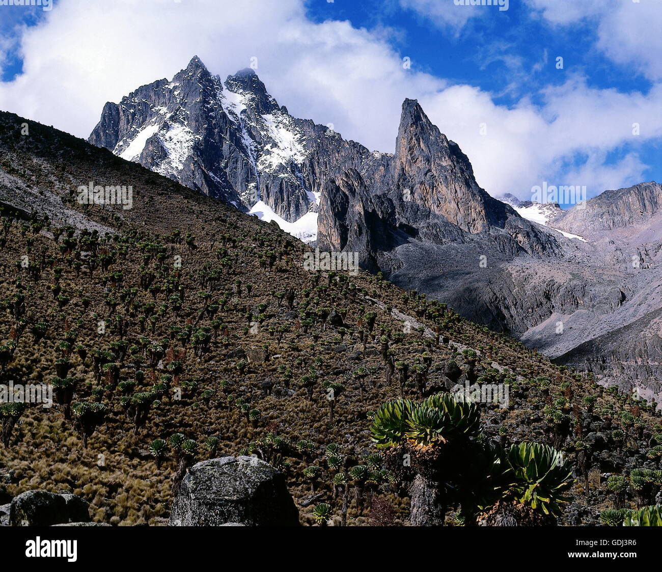 geography / travel, mounts, mountains, Africa, Mount Kenia with snow