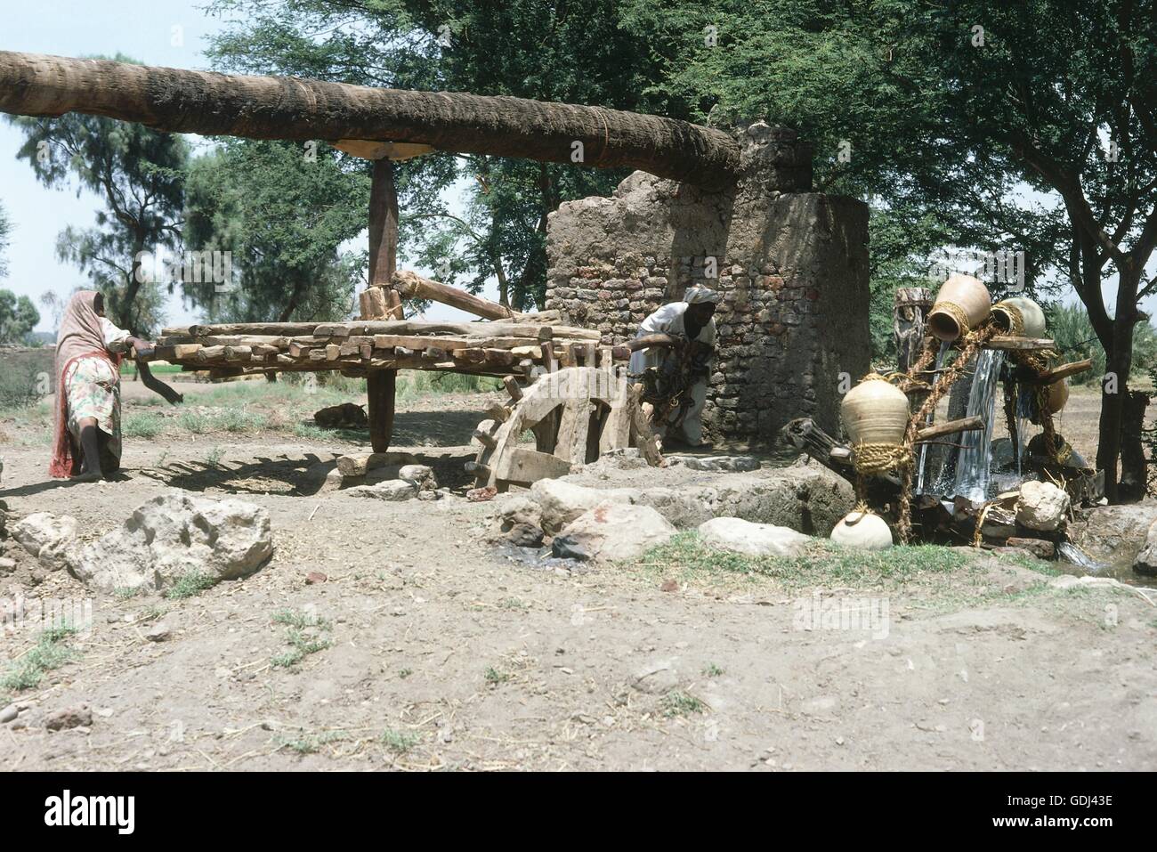 geography / travel, Egypt, agriculture, irrigation, water bucketwheel