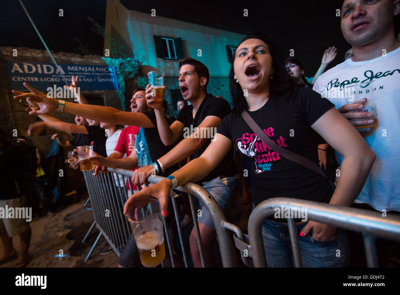Ecstatic Audience at a Music Concert