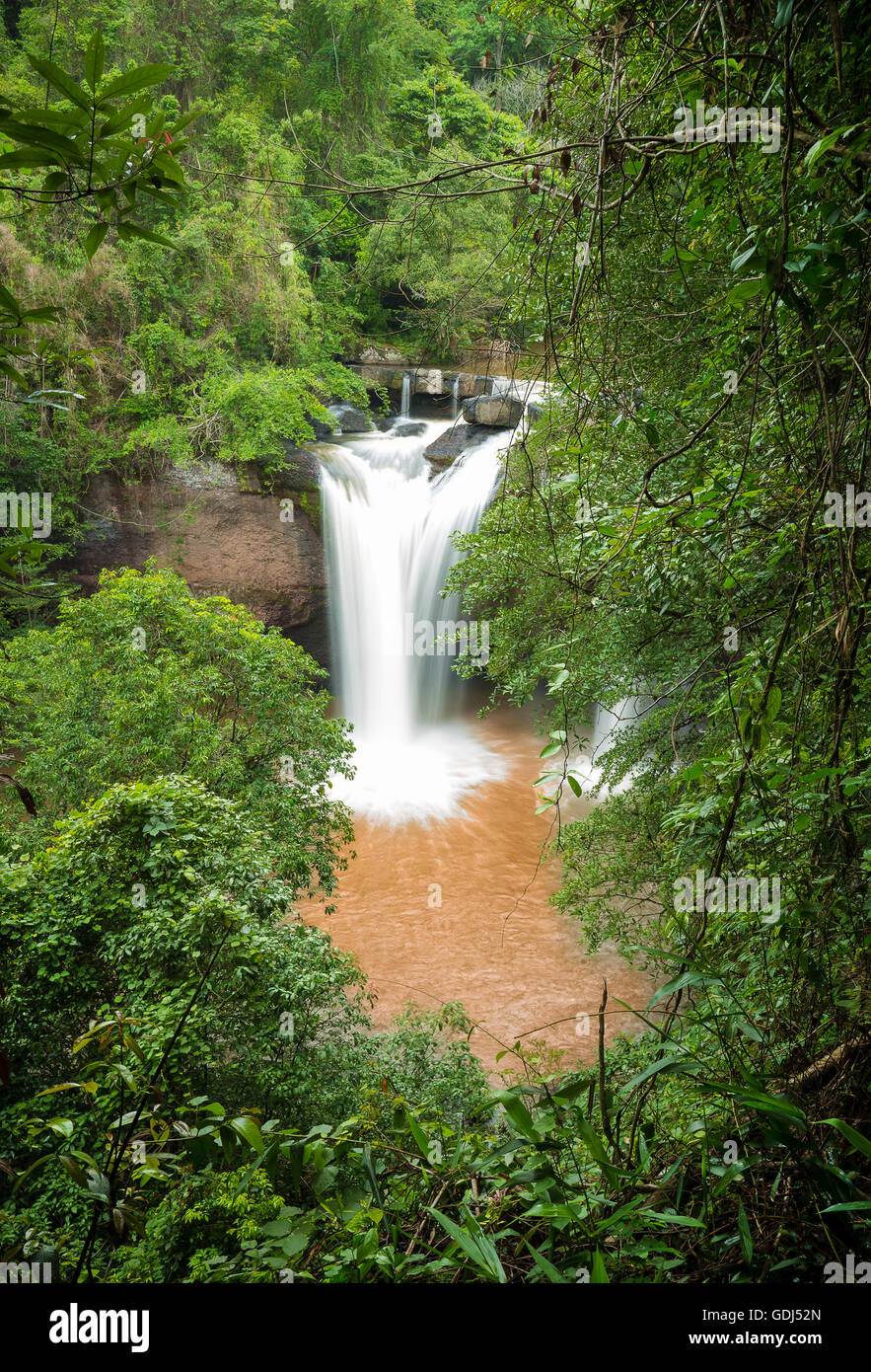 Mud on tree hi-res stock photography and images - Alamy