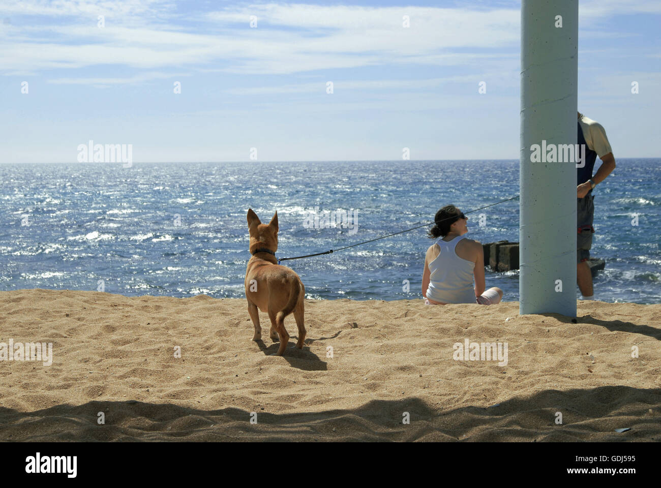 geography / travel, Israel, Naharija, beach, beach goer with dog, Stock Photo