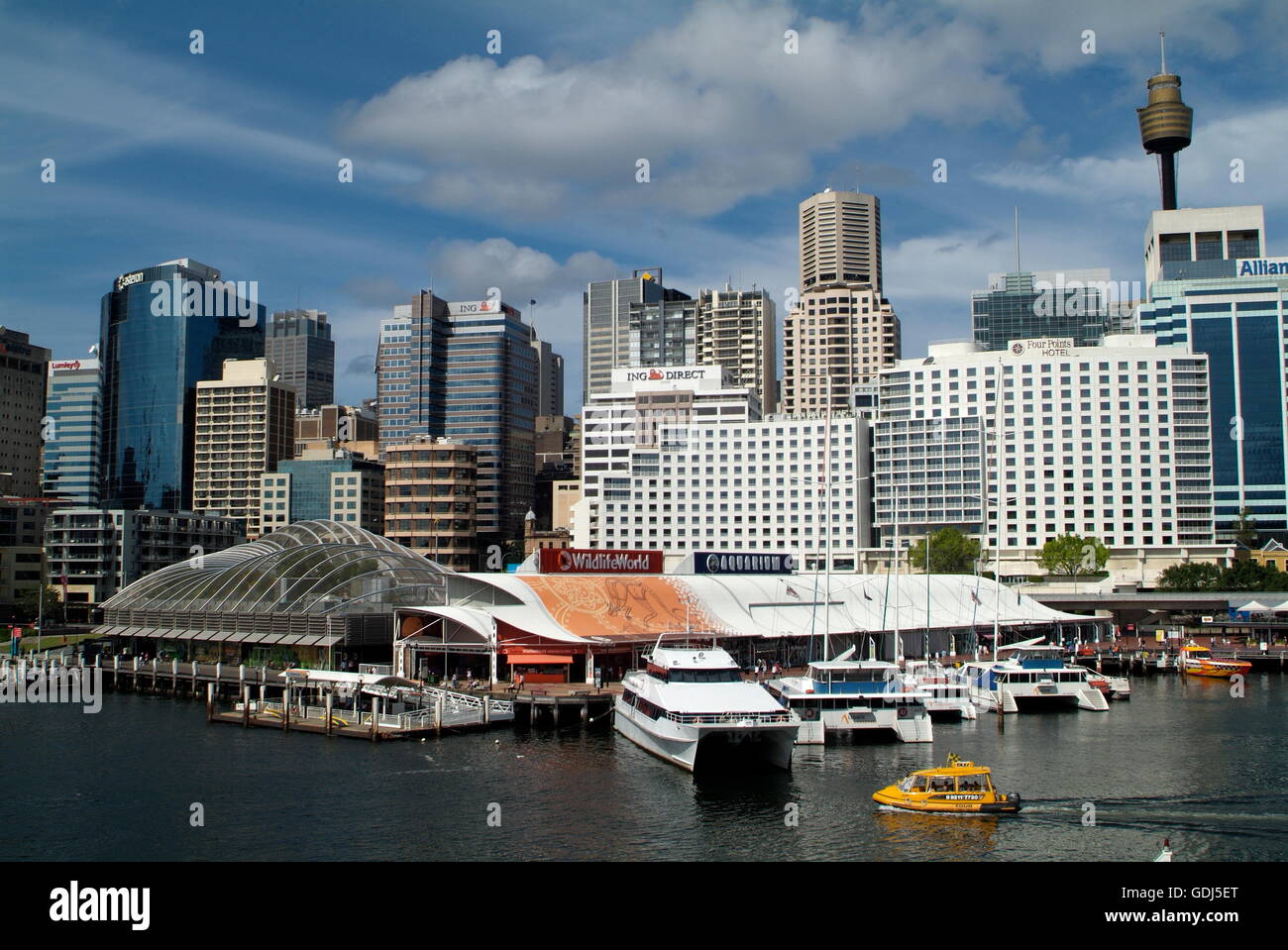 geography / travel, Australia, Sydney, city views / cityscapes, Cockle Bay with Wildlife World and Aquarium, Sydney Tower, Stock Photo