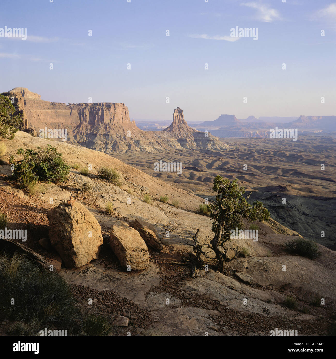 My Image 7