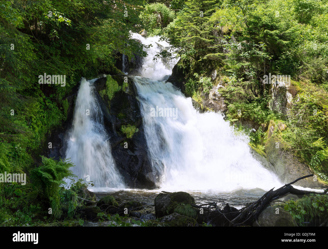 Waterfall in woodland hi-res stock photography and images - Alamy