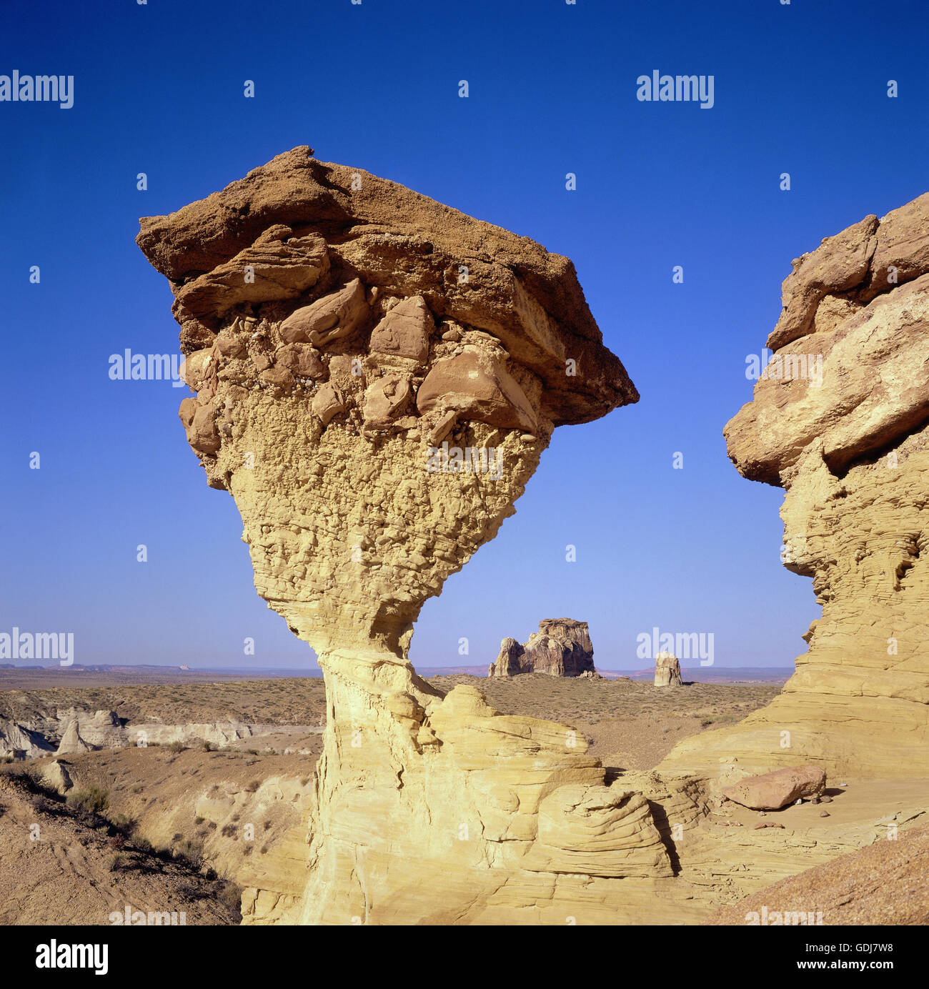 geography / travel, United States of America, Utah, Grand Staircase Escalante National Monument, White Rocks, Egg Mushroom Rock, Additional-Rights-Clearance-Info-Not-Available Stock Photo