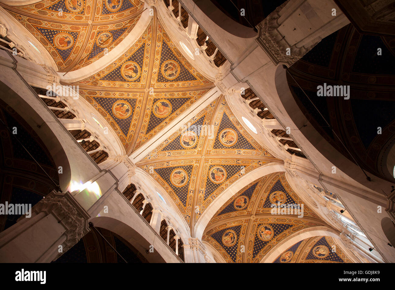 Duomo San Martino Cathedral Church, Lucca, Tuscany, Italy Stock Photo