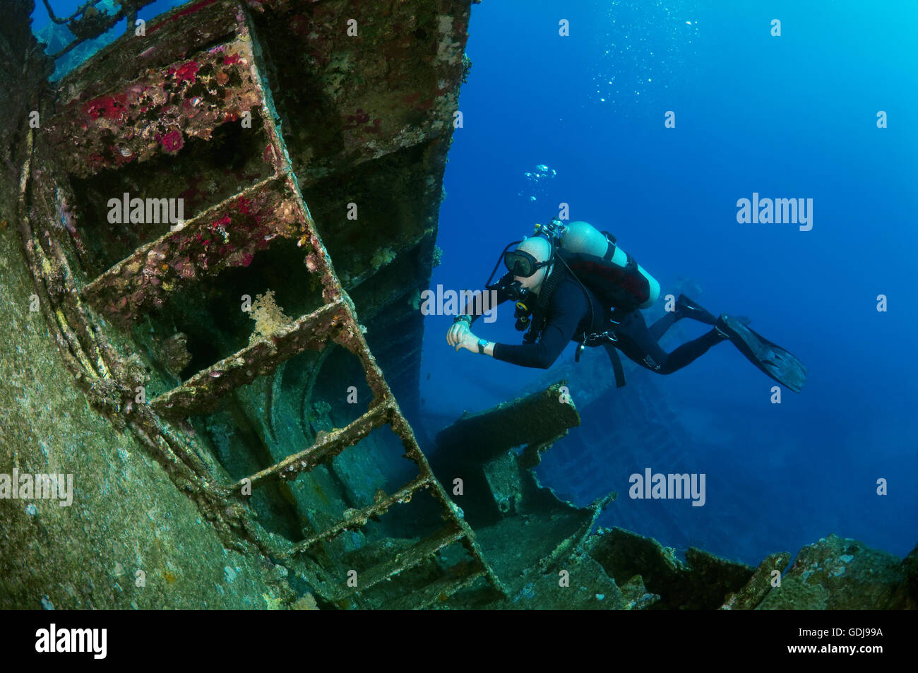 Male scuba diver at the wreck of the Giannis D, Red Sea, Egypt Stock Photo