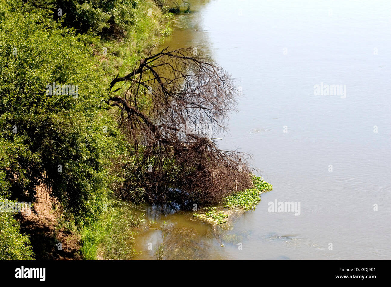 Vaal river south africa hires stock photography and images Alamy