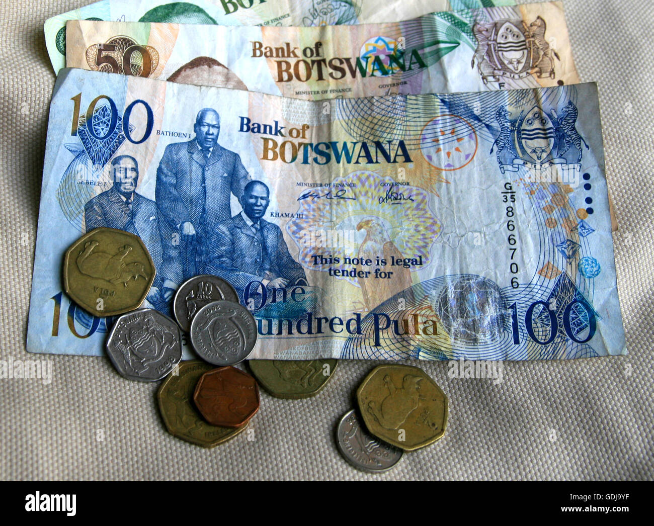 Pula currency 2024