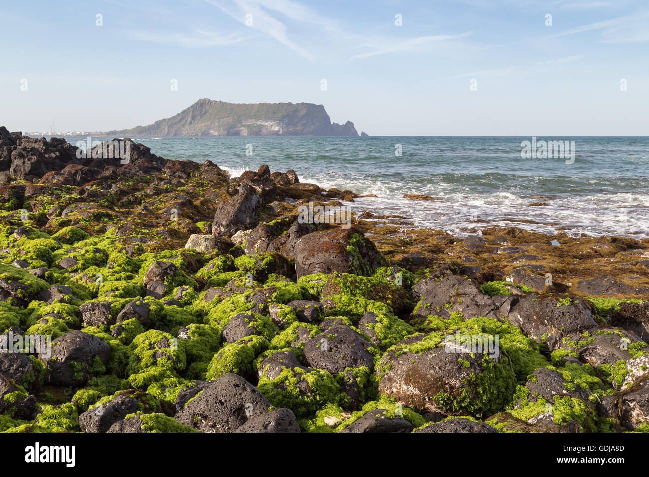 Black lava rocks covered with seaweed at Seopjikoji on Jeju Island in South Korea. Seongsan Ilchulbong is on the background. Stock Photo