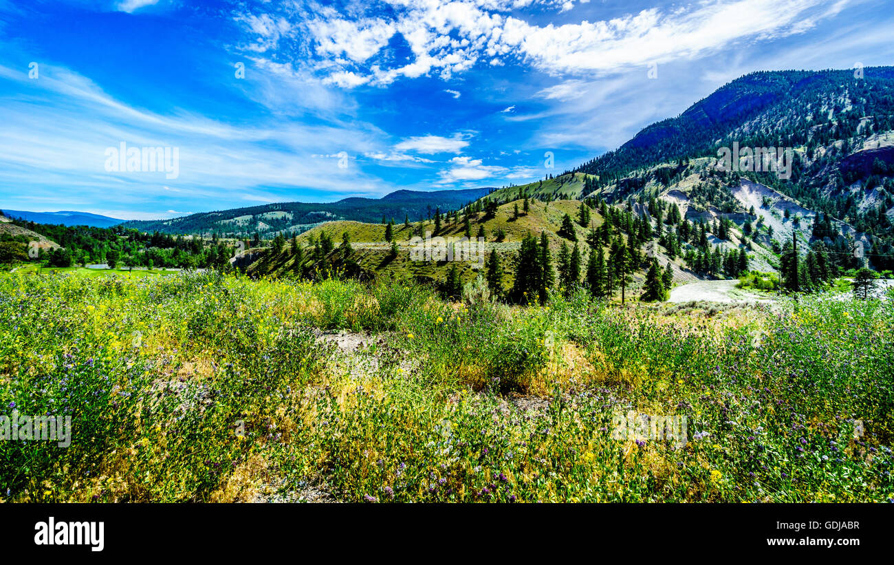 Lower nicola valley hires stock photography and images Alamy