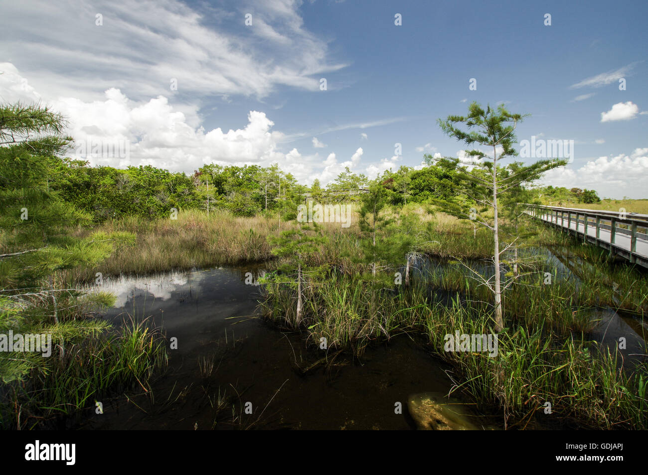 Scenic vistas of  Everglades National Park, Florida Stock Photo
