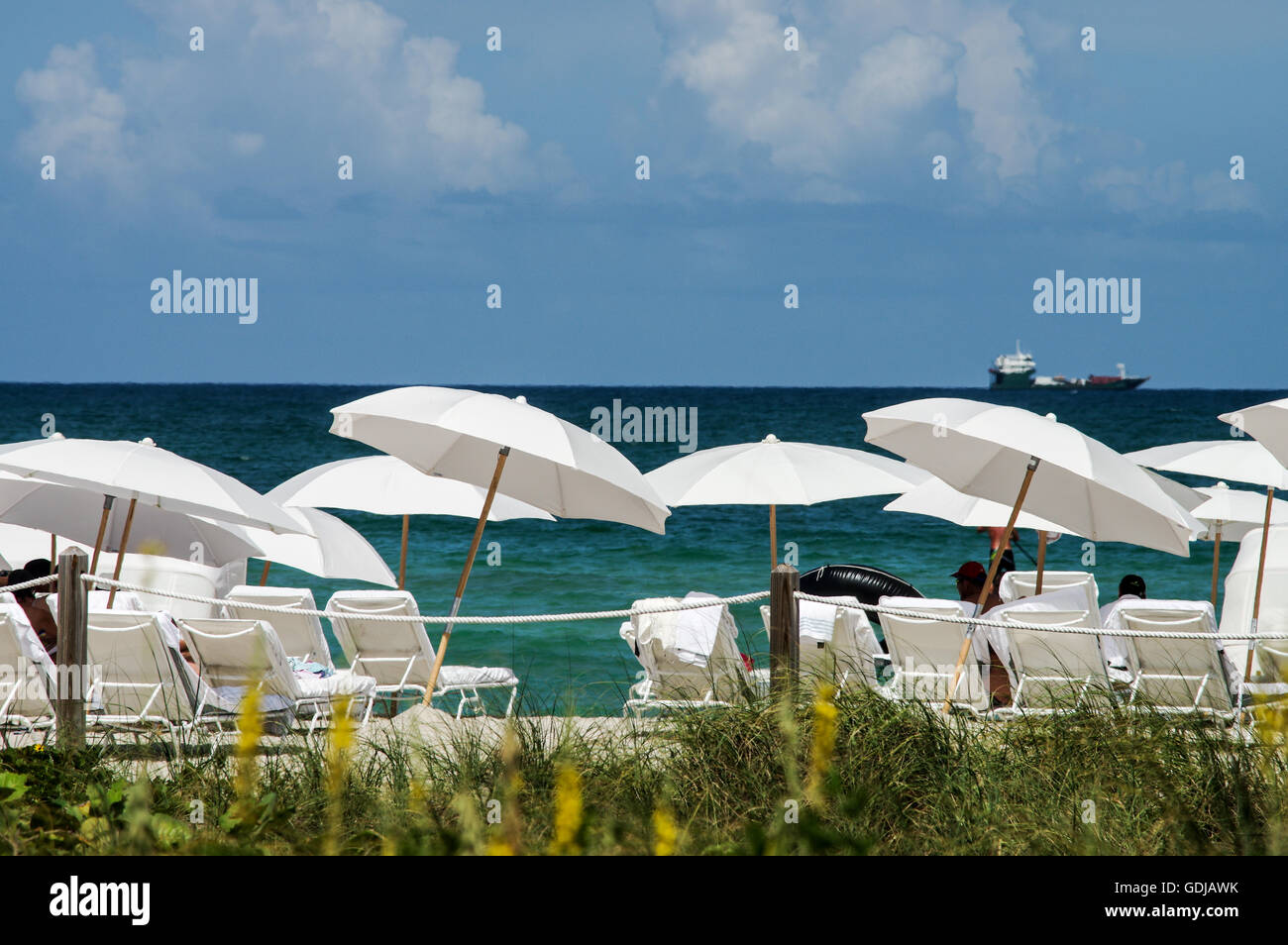 Sea of white umbrellas at South Beach, Miami Stock Photo