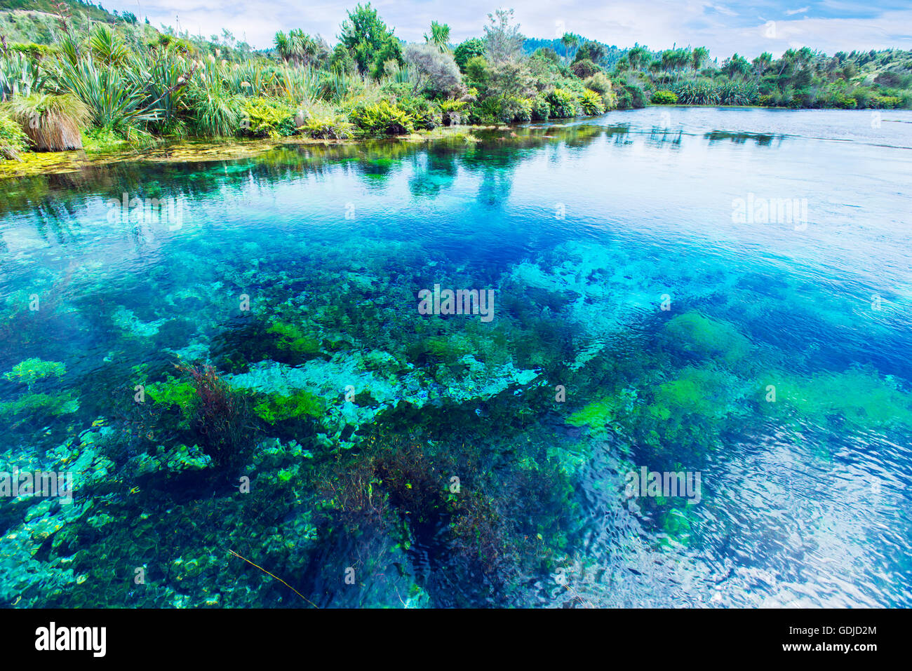 Pupu Pool Te Waikoropupu Springs, Pupu Springs in the Golden Bay region on the ...