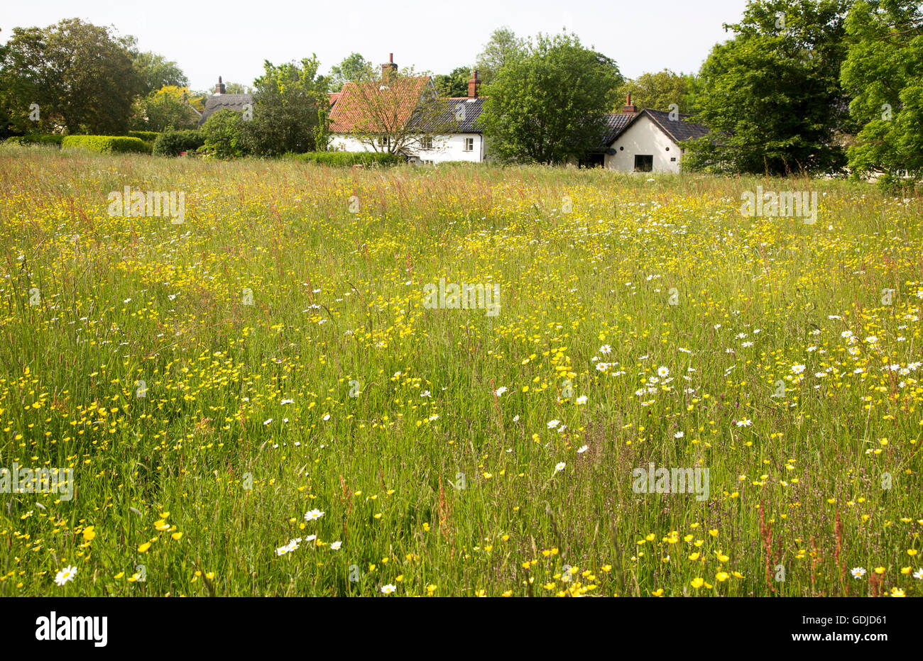 Common pasture land hires stock photography and images Alamy
