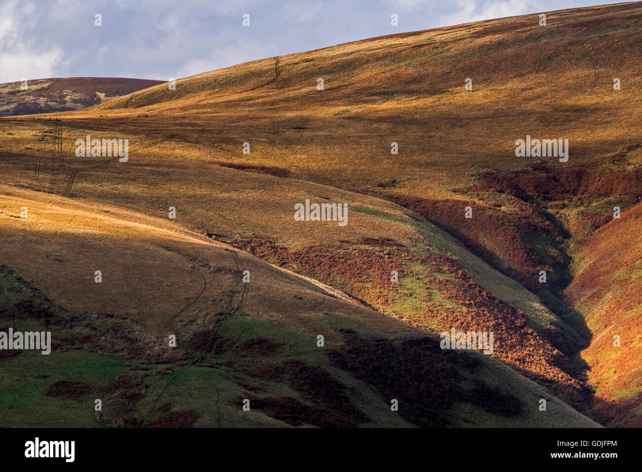 The view west from Barrow Law looking towards the Trows, Loft Hill and Swineside Law, Northumberland National Park, England Stock Photo