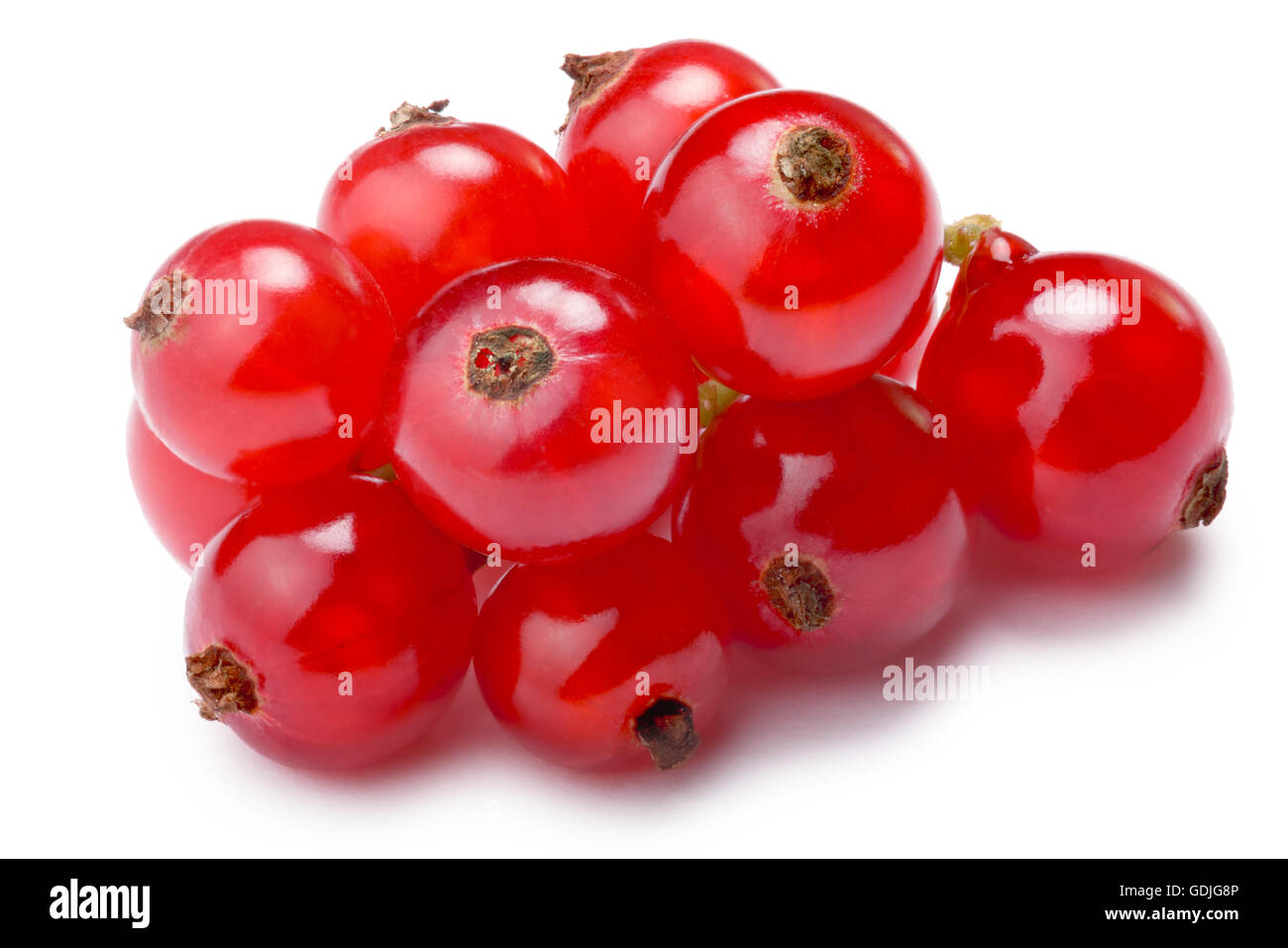 Redcurrant pile (Ribes Rubrum). Clipping paths, shadow separated, infinite depth of filed Stock Photo