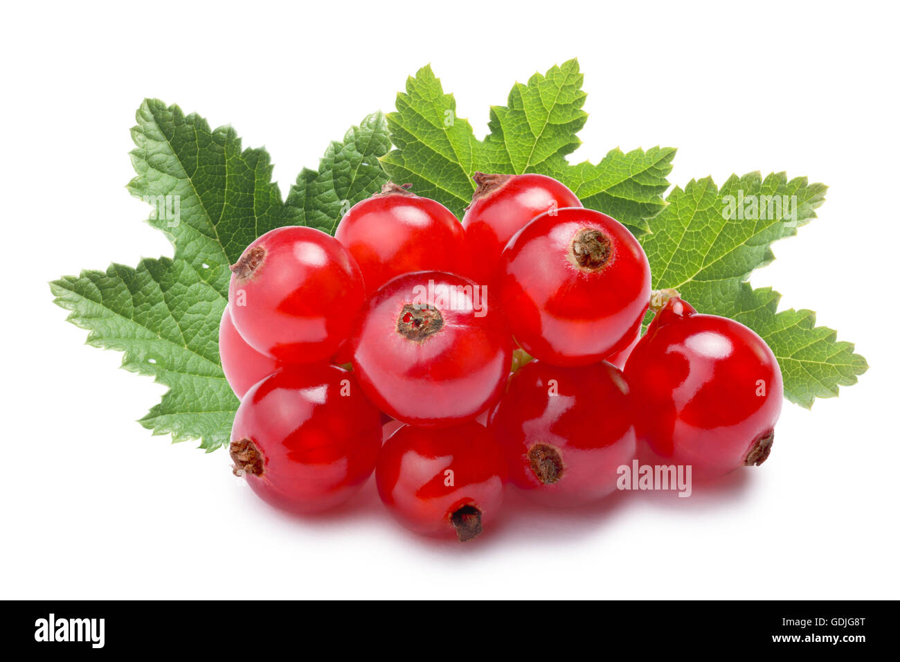 Redcurrant pile (Ribes Rubrum) with leaves. Clipping paths, shadow separated, infinite depth of filed Stock Photo