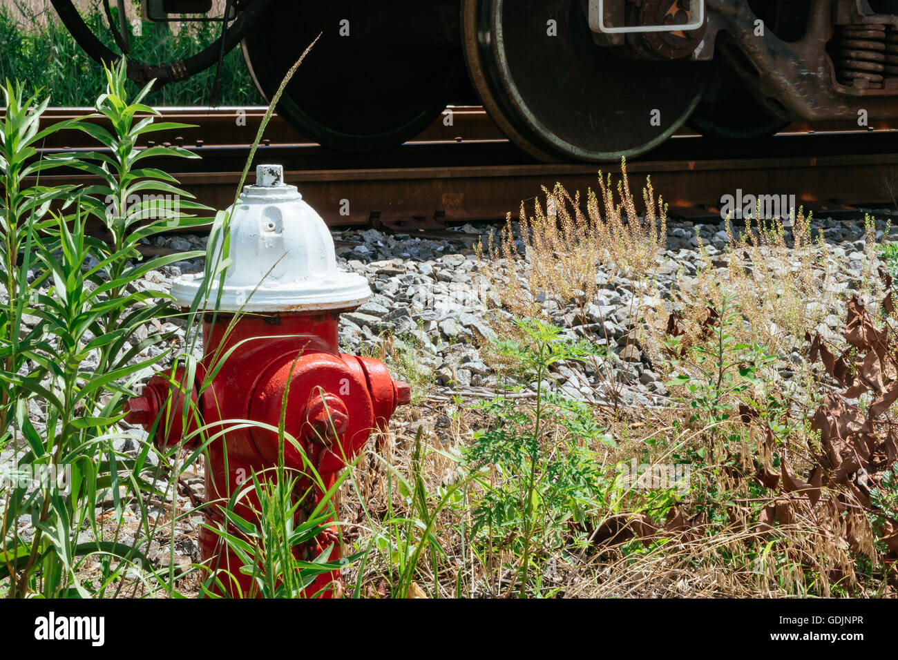 Red fire hydrant on bark ground cover, front of a bush that is starting to show fall colors. Stock Photo