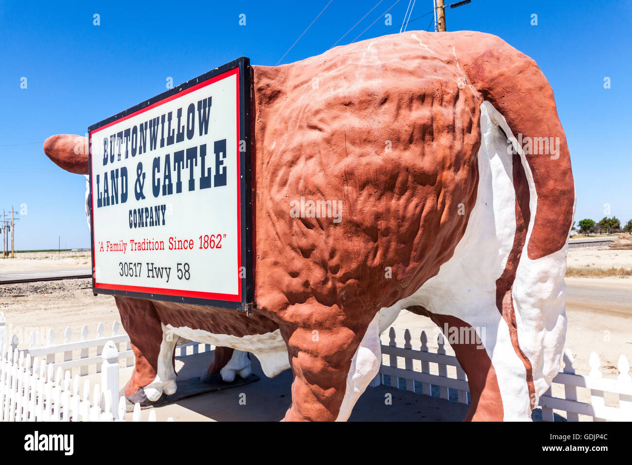 A very large cow advertising the Buttonwillow Land and Cattle company in Buttonwillow California