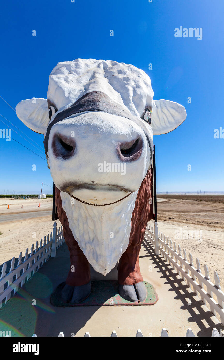A very large cow advertising the Buttonwillow Land and Cattle company in Buttonwillow California