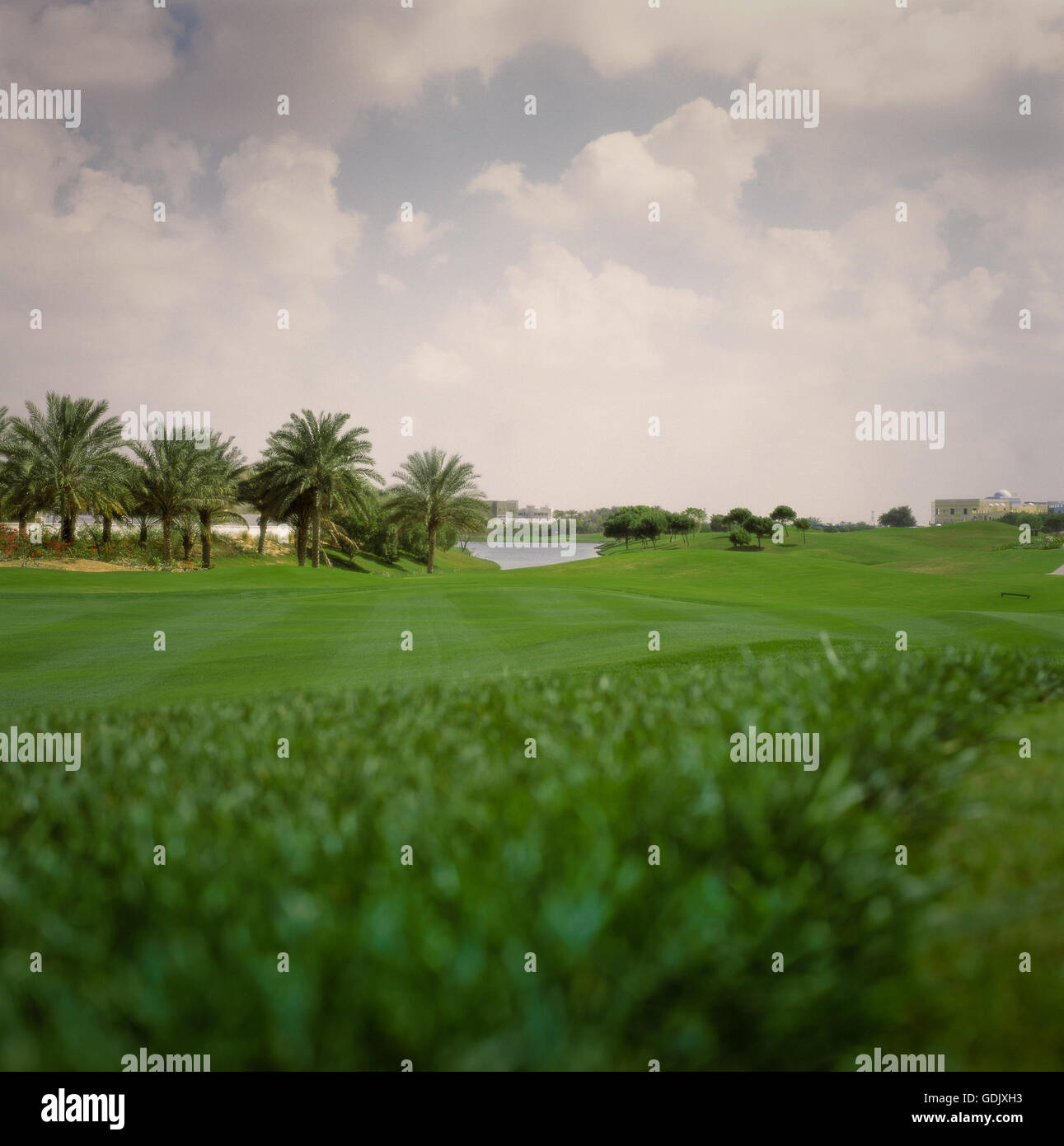 Montgomery Golf Course. Dubai, UAE Stock Photo Alamy