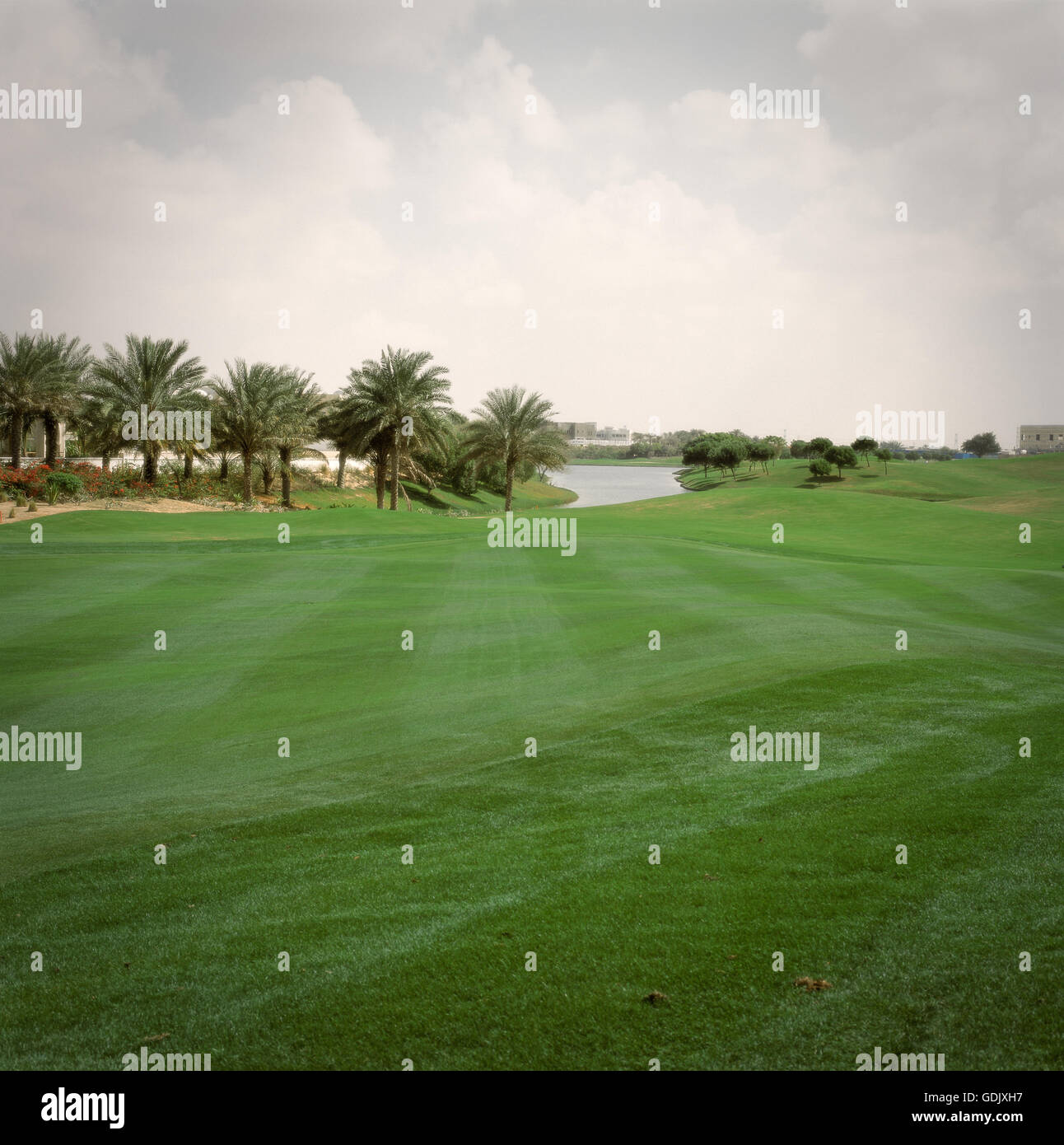 Montgomery Golf Course. Dubai, UAE Stock Photo Alamy