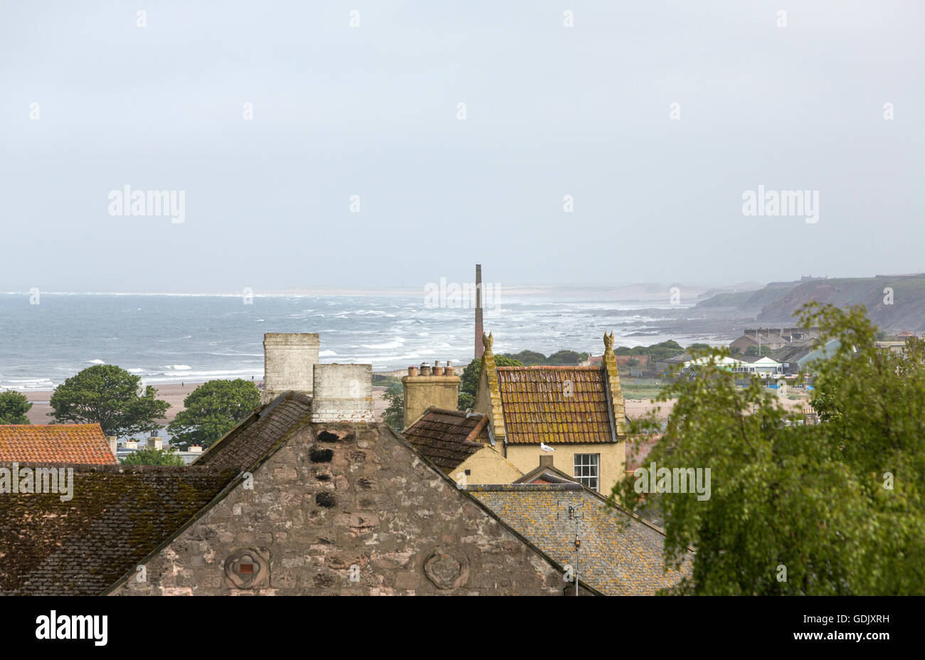 Spittal houses roofs and North Sea coast from BerwickuponTweed Town