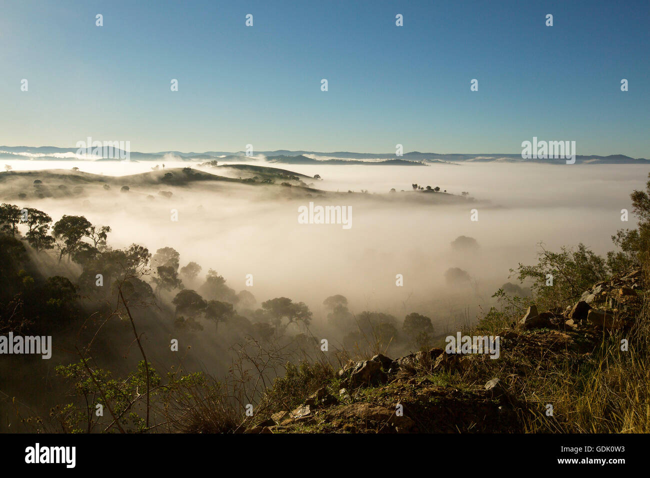 Thick blanket of morning mist covering valleys with peaks of hills & trees spearing through ocean of white under blue sky near Hill End NSW Australia Stock Photo
