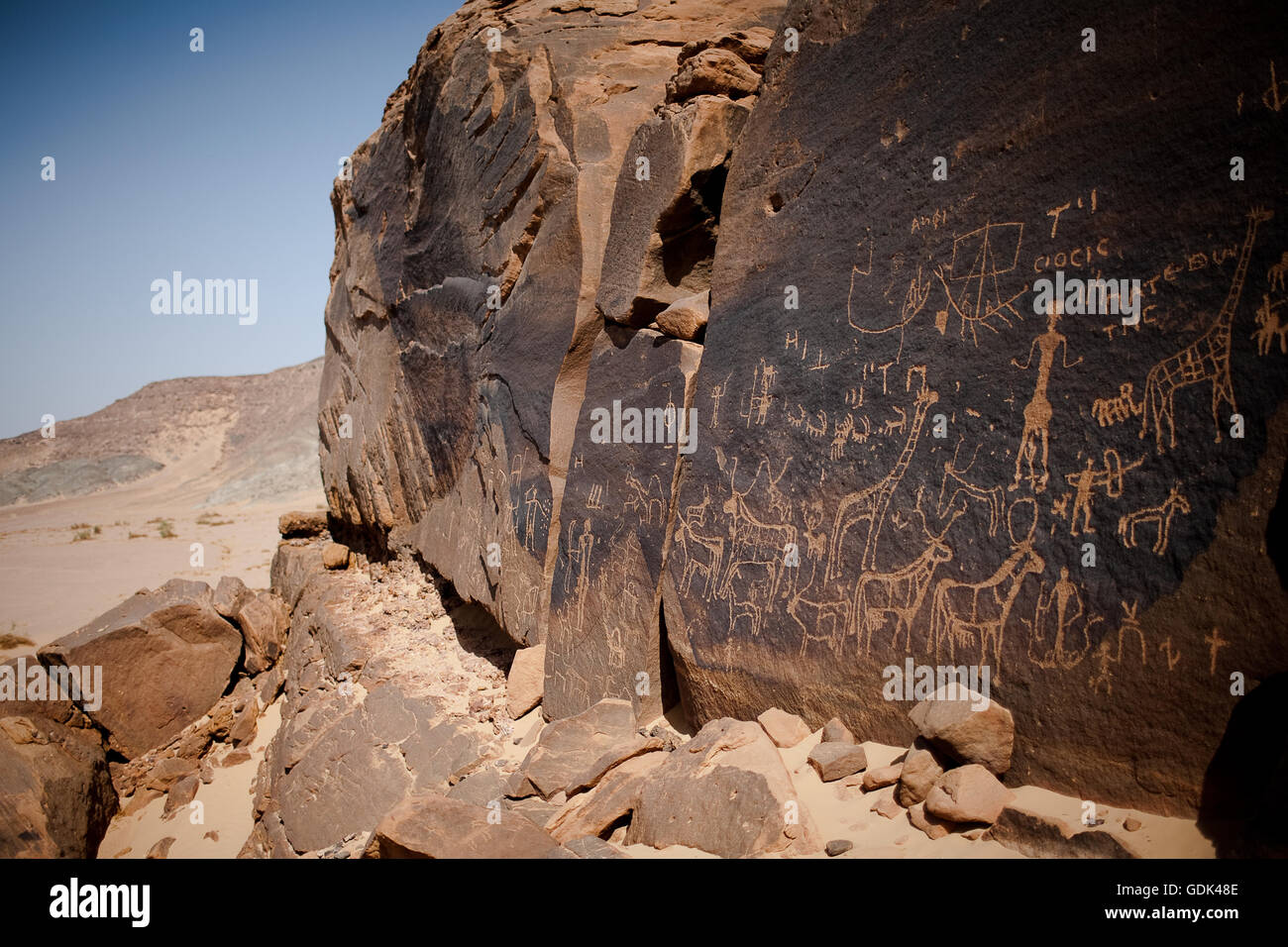 Pre-dynastic rock art covering a rock face with various fauna from the region and a woman giving birth. The rocks are heavily patinated which can help archaeologists date the period in which the rock art was made. Wadi Menih, Eastern desert, Egypt Stock Photo