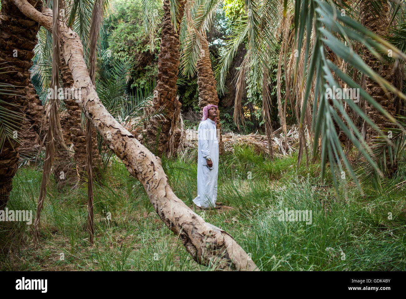 Dakhla Desert Park, a newly designated conservation area within Dakhla