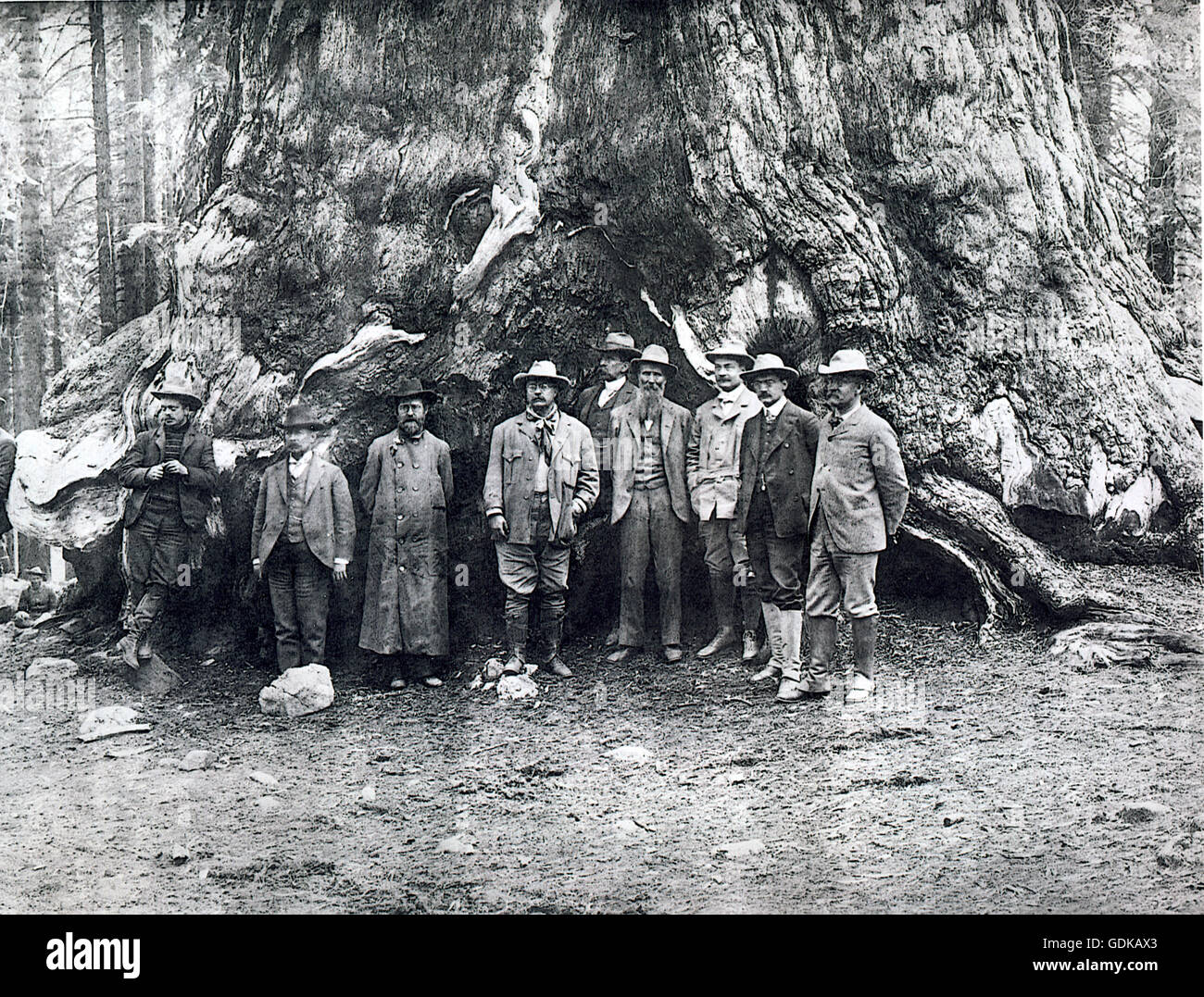 President Theodore Roosevelt and conservationist John Muir (to the President's left) in Yosemite Valley. Stock Photo