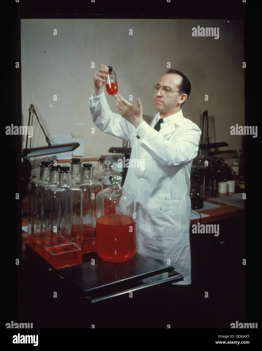 Dr Jonas Salk developer of the polio vaccine Stock Photo Alamy Dr Jonas Salk developer of the polio vaccine Stock Photo Alamy