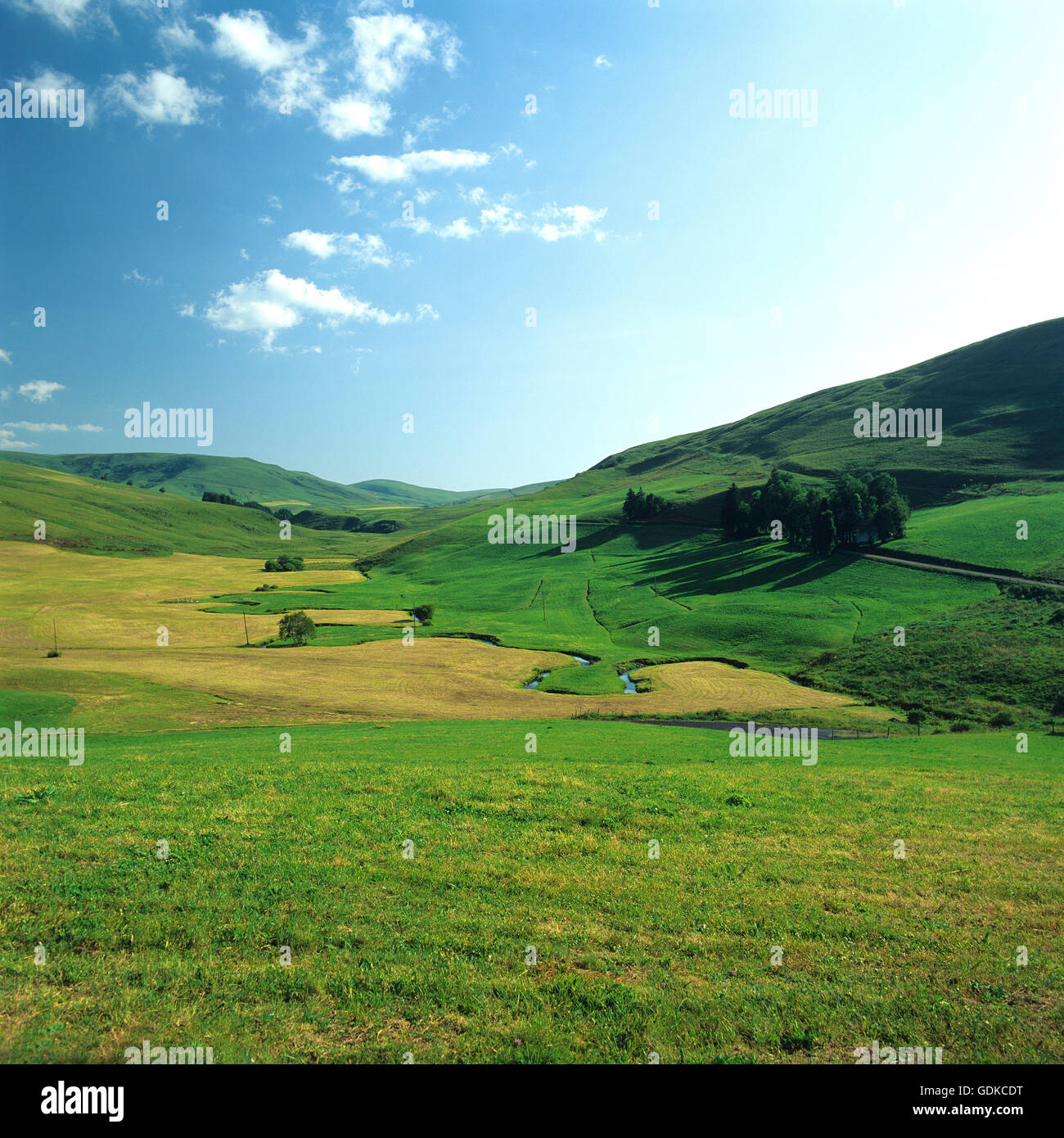 Valley of Jasy, Cezallier, Puy de Dome, Auvergne, France, Europe Stock Photo