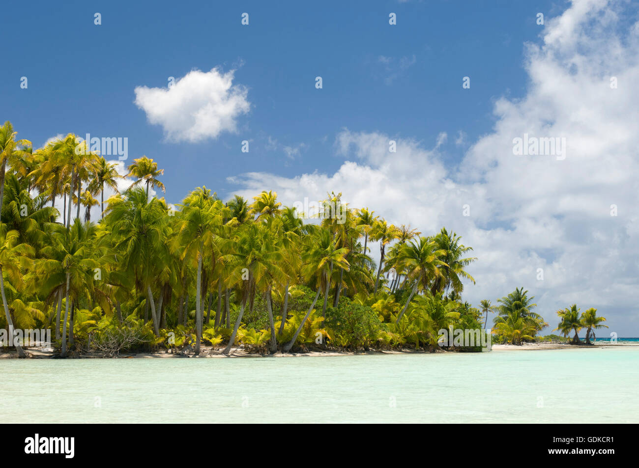 Blue Lagoon, Rangiroa atoll, Tuamotu Archipelago, French Polynesia ...
