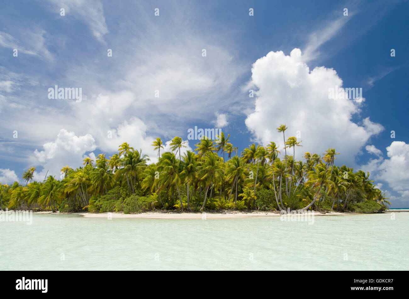 Blue Lagoon, Rangiroa atoll, Tuamotu Archipelago, French Polynesia