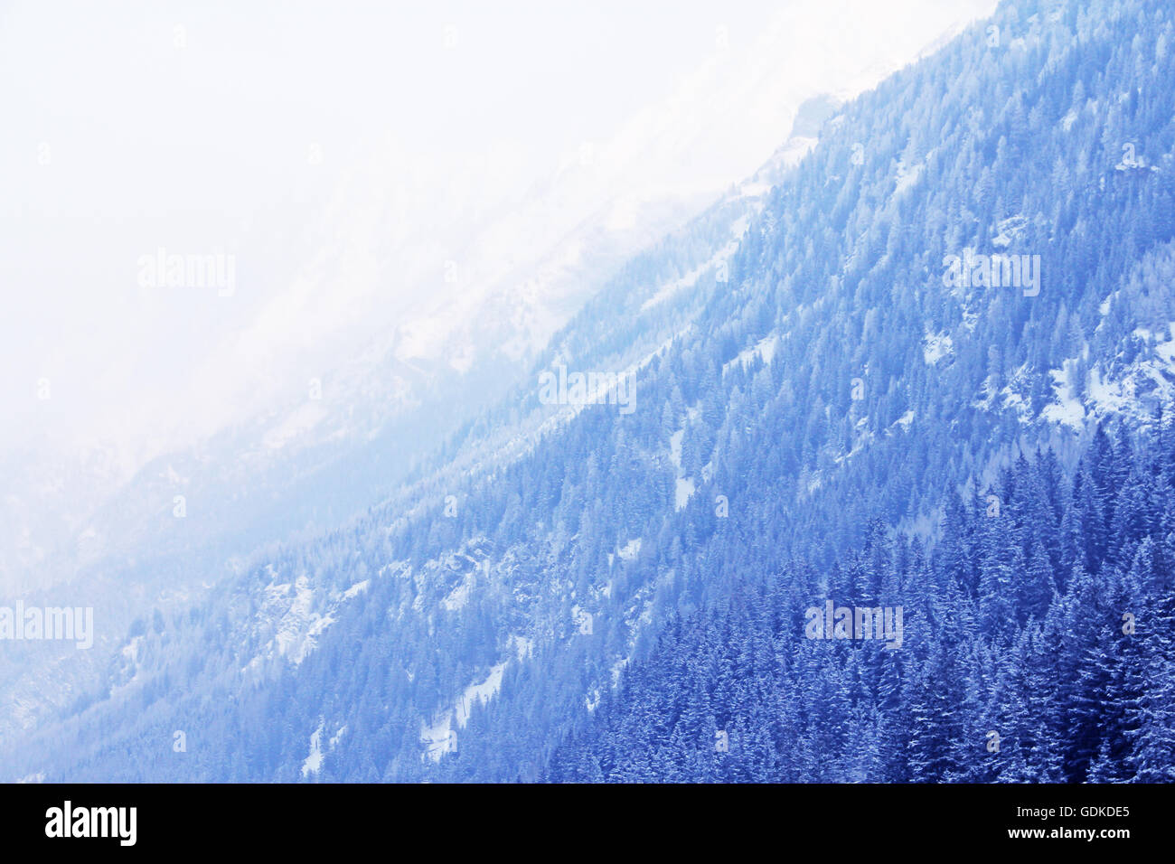 Beautiful winter landscape with fir forest in mountains Stock Photo - Alamy